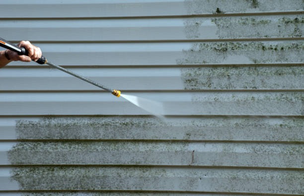 Roof Power Washing Services in De Soto, IA