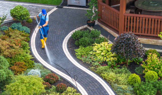Best Pressure Washing Company Near Me  in De Soto, IA
